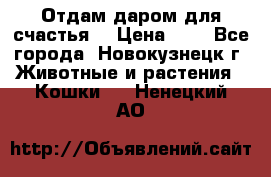 Отдам даром для счастья. › Цена ­ 1 - Все города, Новокузнецк г. Животные и растения » Кошки   . Ненецкий АО